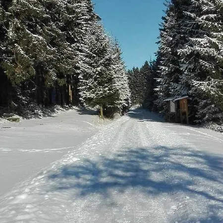 Hotel Buchhaus Vier *